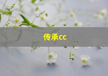 传承cc