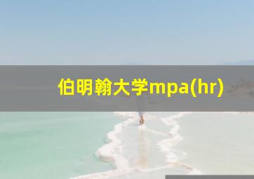 伯明翰大学mpa(hr)