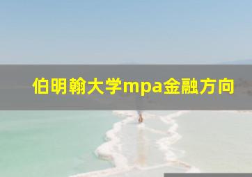 伯明翰大学mpa金融方向