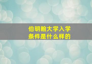 伯明翰大学入学条件是什么样的