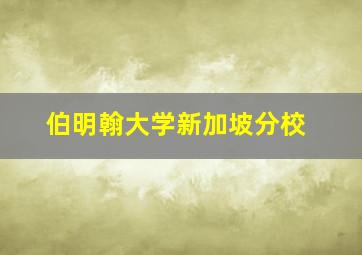 伯明翰大学新加坡分校