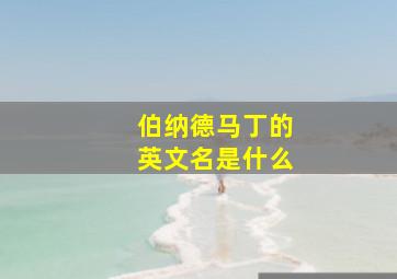 伯纳德马丁的英文名是什么