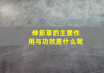 伸筋草的主要作用与功效是什么呢