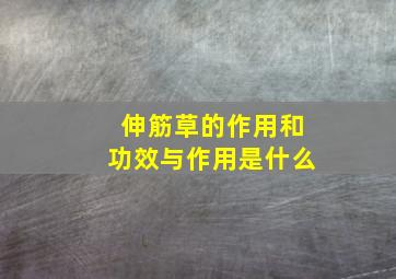 伸筋草的作用和功效与作用是什么