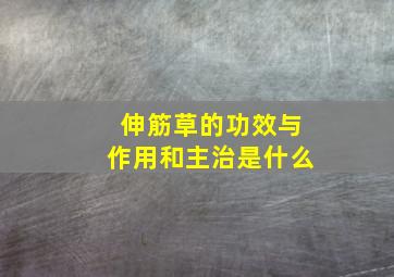 伸筋草的功效与作用和主治是什么