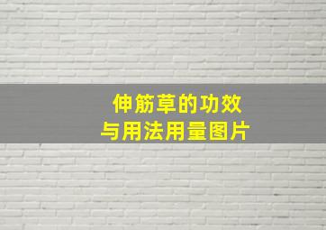 伸筋草的功效与用法用量图片