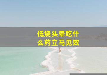 低烧头晕吃什么药立马见效