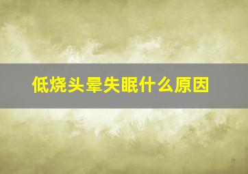 低烧头晕失眠什么原因