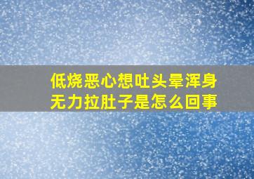 低烧恶心想吐头晕浑身无力拉肚子是怎么回事