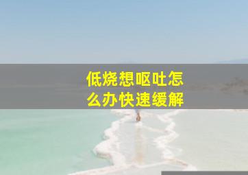 低烧想呕吐怎么办快速缓解