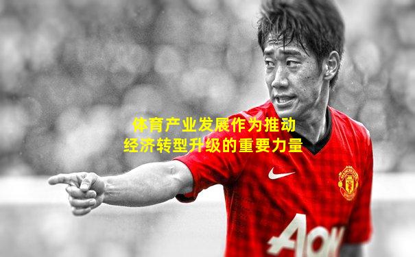 体育产业发展作为推动经济转型升级的重要力量