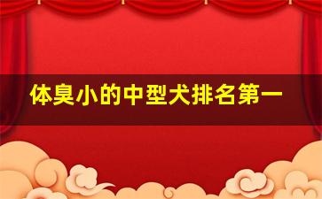 体臭小的中型犬排名第一