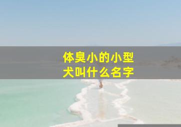 体臭小的小型犬叫什么名字