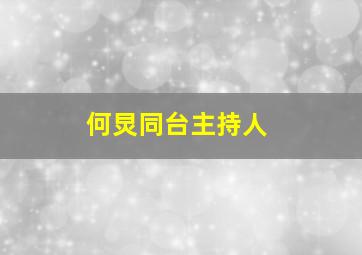 何炅同台主持人