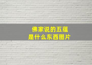 佛家说的五蕴是什么东西图片