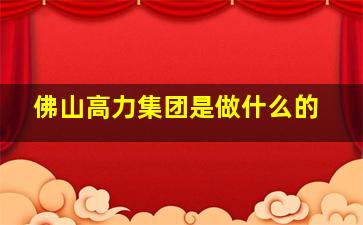 佛山高力集团是做什么的