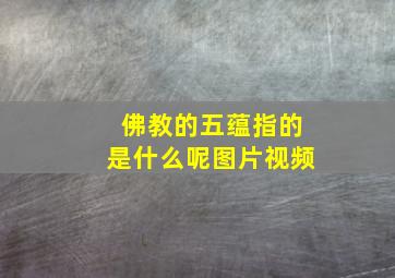 佛教的五蕴指的是什么呢图片视频