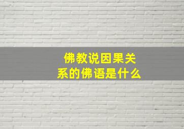 佛教说因果关系的佛语是什么