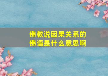 佛教说因果关系的佛语是什么意思啊