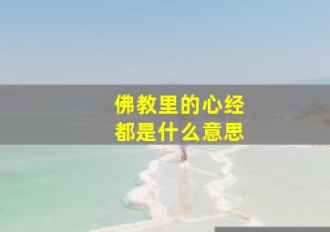 佛教里的心经都是什么意思