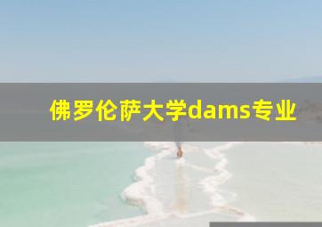 佛罗伦萨大学dams专业