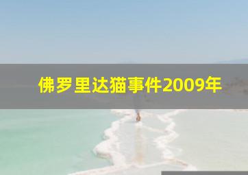 佛罗里达猫事件2009年