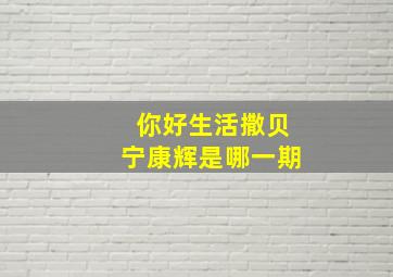 你好生活撒贝宁康辉是哪一期