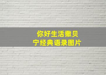 你好生活撒贝宁经典语录图片