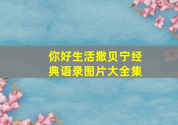 你好生活撒贝宁经典语录图片大全集