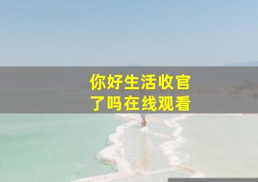 你好生活收官了吗在线观看