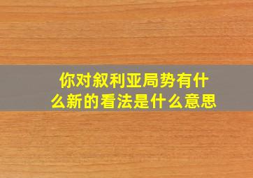 你对叙利亚局势有什么新的看法是什么意思