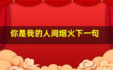 你是我的人间烟火下一句