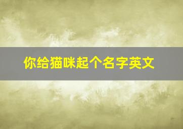 你给猫咪起个名字英文