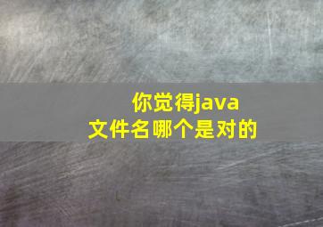 你觉得java文件名哪个是对的