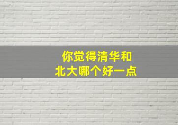 你觉得清华和北大哪个好一点