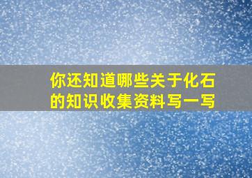 你还知道哪些关于化石的知识收集资料写一写