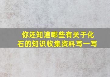 你还知道哪些有关于化石的知识收集资料写一写