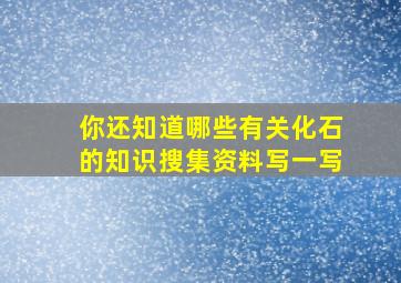 你还知道哪些有关化石的知识搜集资料写一写