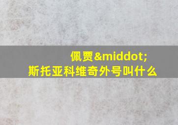 佩贾·斯托亚科维奇外号叫什么