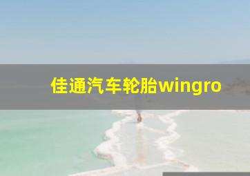 佳通汽车轮胎wingro