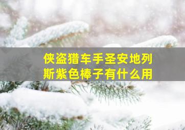 侠盗猎车手圣安地列斯紫色棒子有什么用