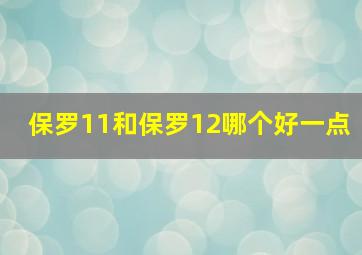 保罗11和保罗12哪个好一点