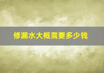 修漏水大概需要多少钱