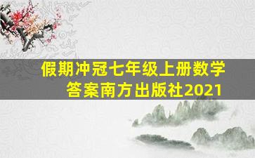 假期冲冠七年级上册数学答案南方出版社2021