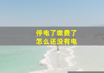 停电了缴费了怎么还没有电