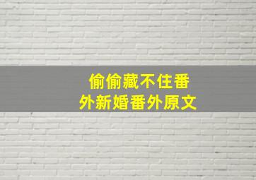 偷偷藏不住番外新婚番外原文