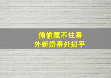 偷偷藏不住番外新婚番外知乎