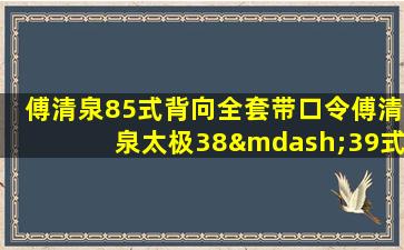 傅清泉85式背向全套带口令傅清泉太极38—39式