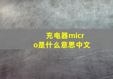 充电器micro是什么意思中文