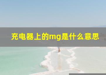 充电器上的mg是什么意思